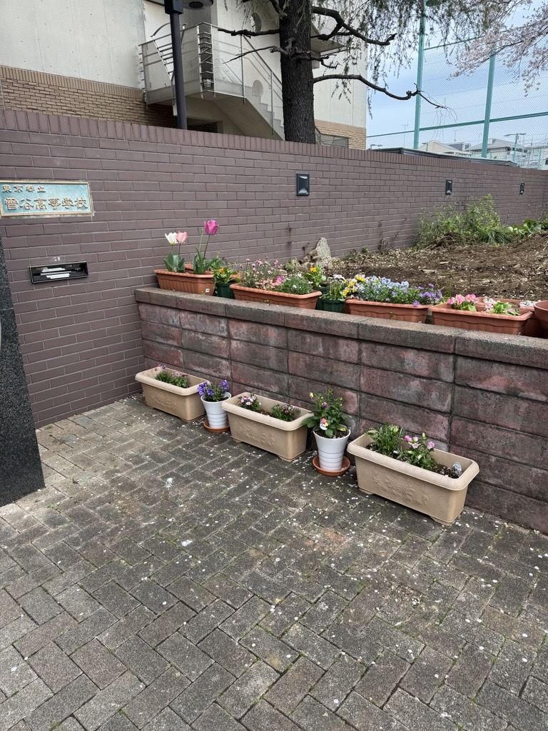 Image - 2026-04-08T195655.616